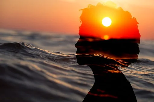 Picture of Sunset and the Ocean with Shadow of Person's Head